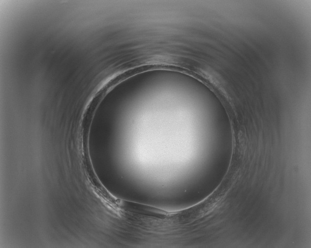 X0000062620931200512230942