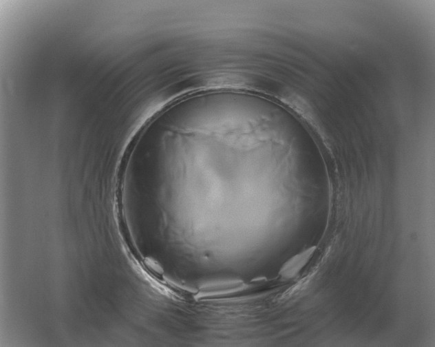 X0000062620941200512230943