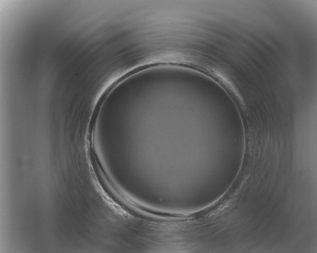 X0000062620944200512230943