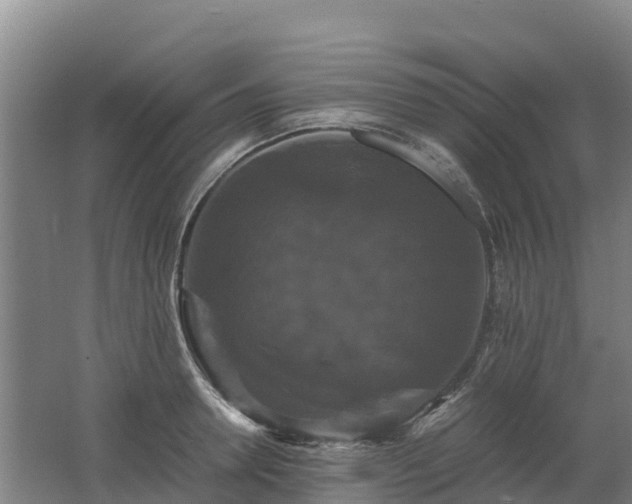 X0000062620946200512230943
