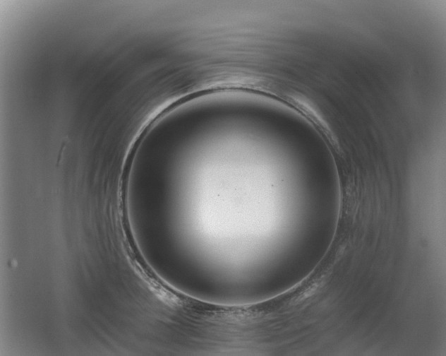 X0000062620948200512230943