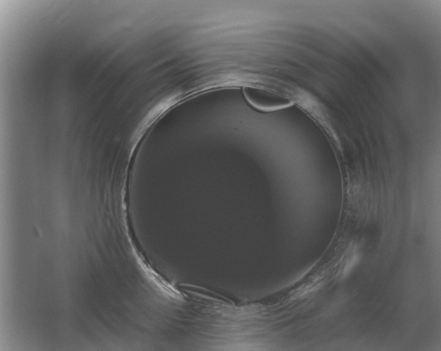 X0000062620954200512230943