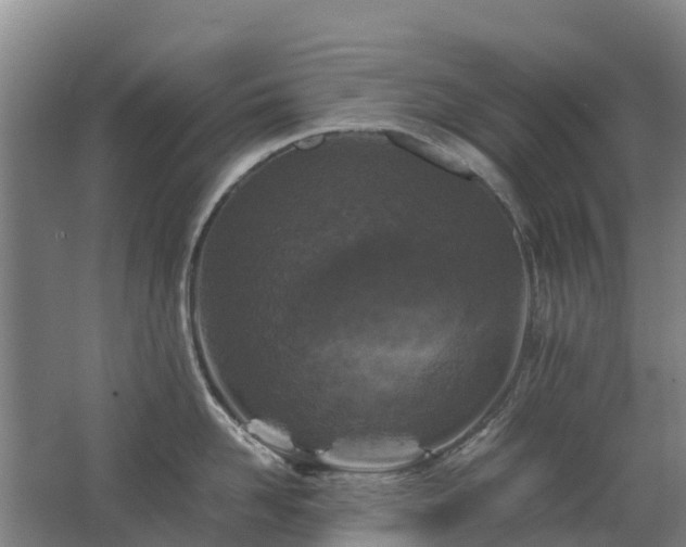 X0000062620958200512230943