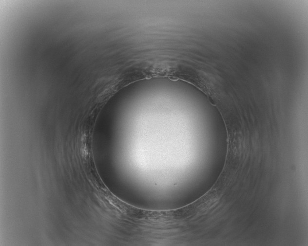 X0000062620962200512230942