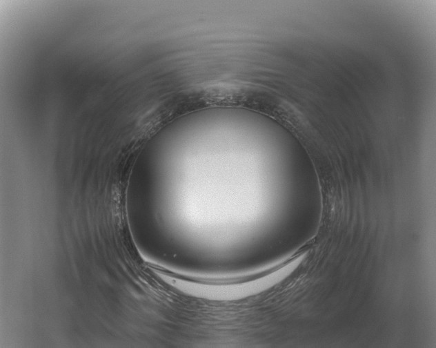 X0000062620964200512230942