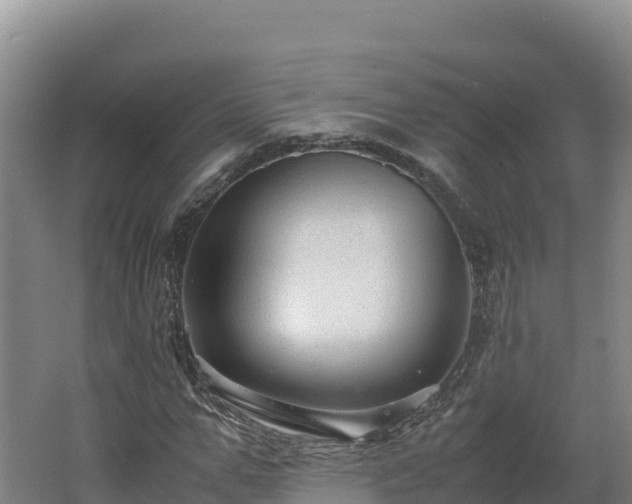 X0000062620967200512230942
