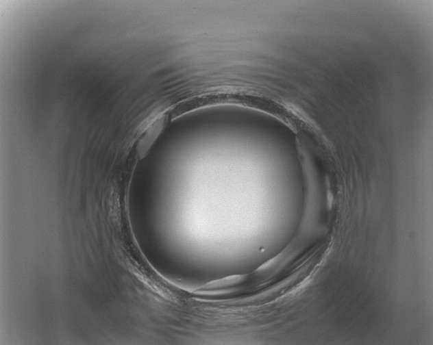 X0000062620969200512230942