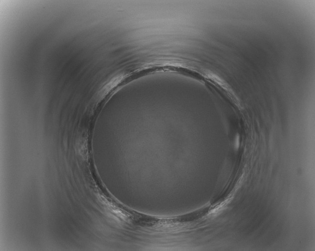 X0000062620977200512230942