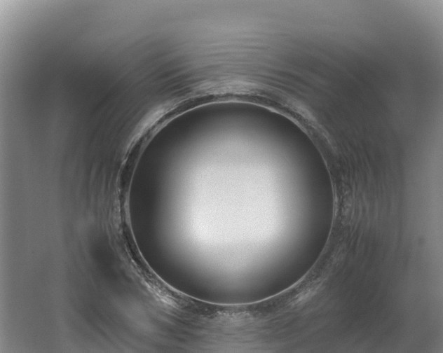 X0000062620978200512230942