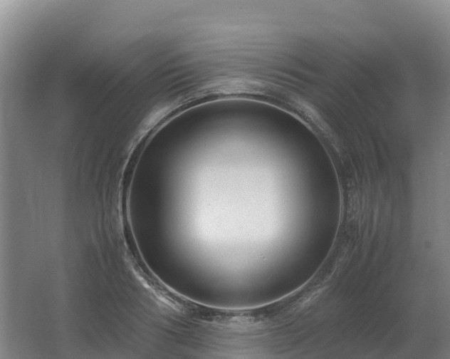 X0000062620986200512230942