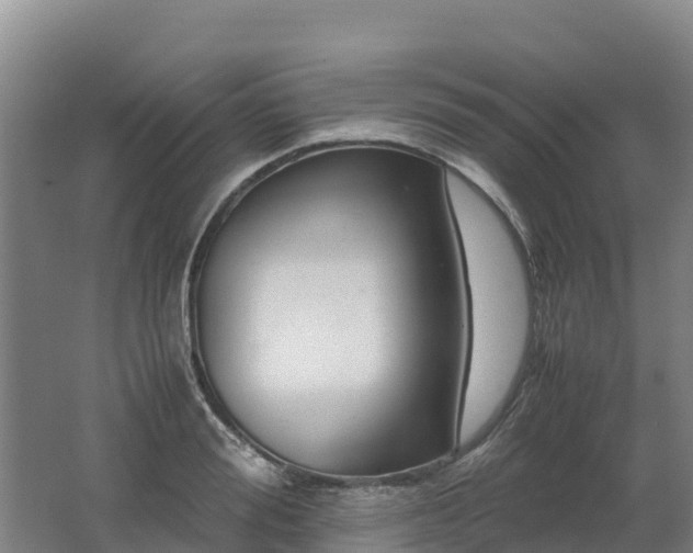 X0000062620988200512230942