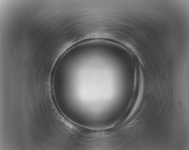 X0000062620990200512230942
