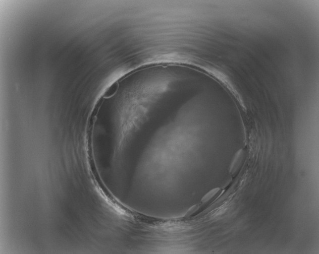 X0000062620998200512230941