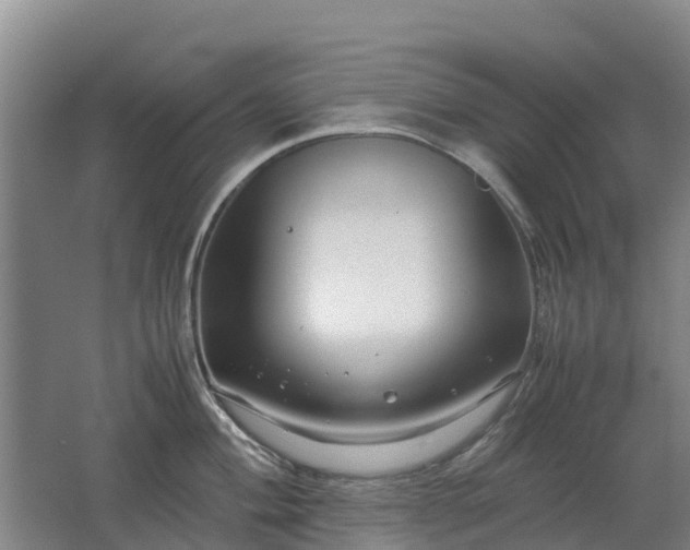 X0000062621004200512230941