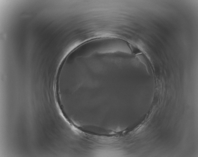 X0000062621007200512230941