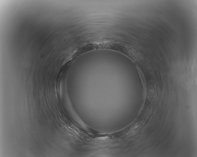 X0000062621010200512230941