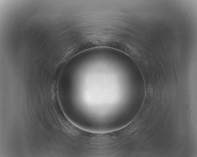 X0000062621012200512230941