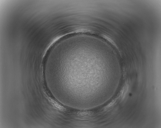 X0000062621021200512230941