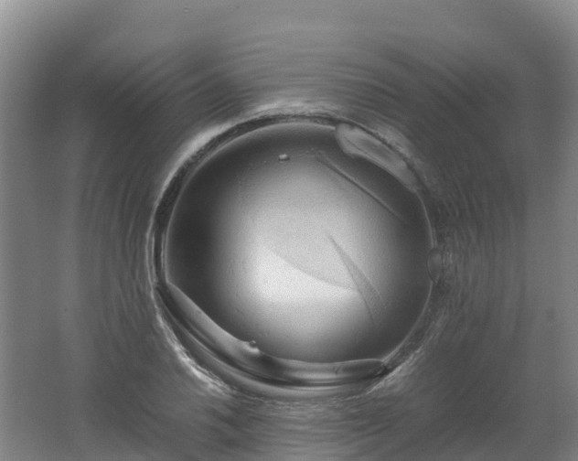 X0000062621030200512230941