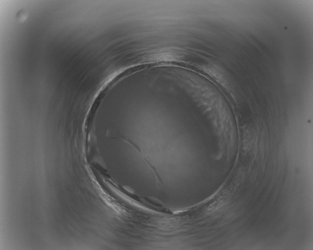 X0000062621031200512230941