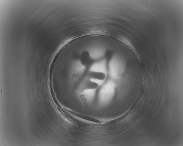 X0000062621043200512230941