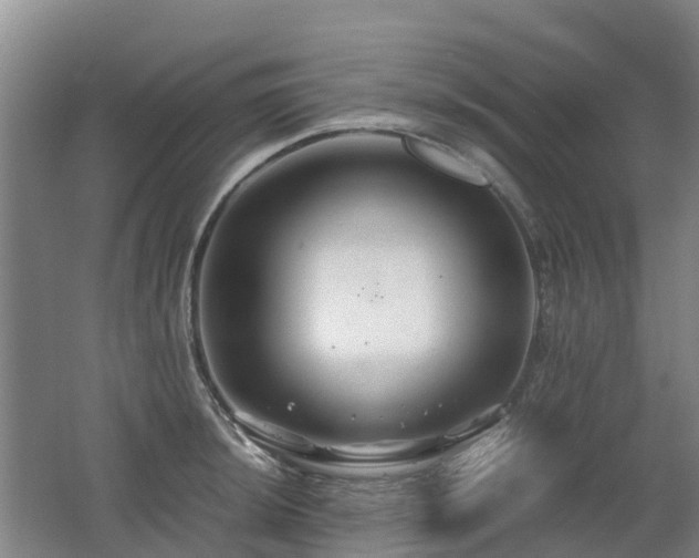 X0000062621044200512230941