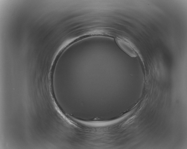 X0000062621045200512230941