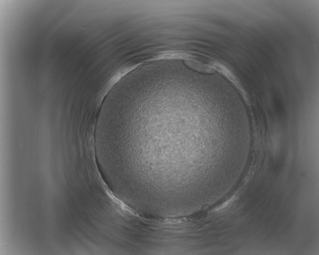 X0000062621049200512230941