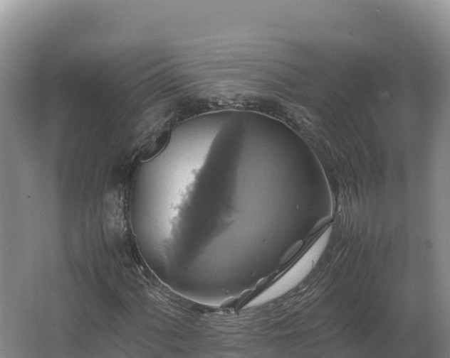 X0000062621060200512230940