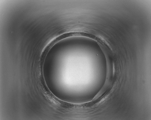 X0000062621069200512230940