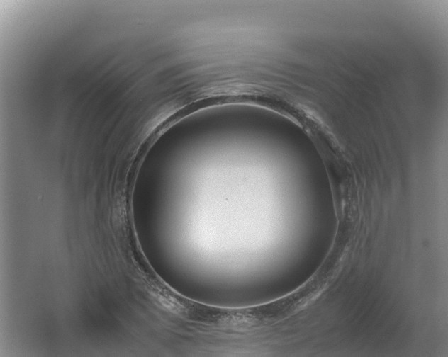 X0000062621073200512230940