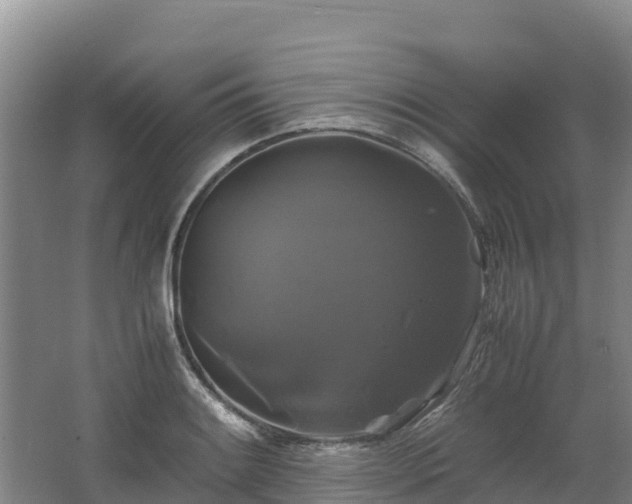 X0000062621084200512230940