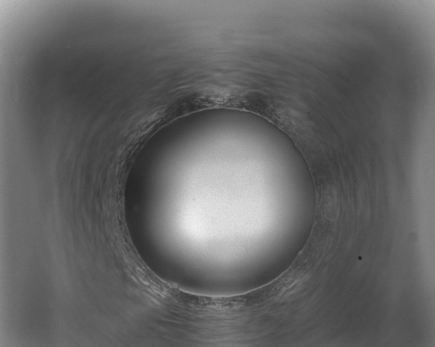 X0000062621105200512230939