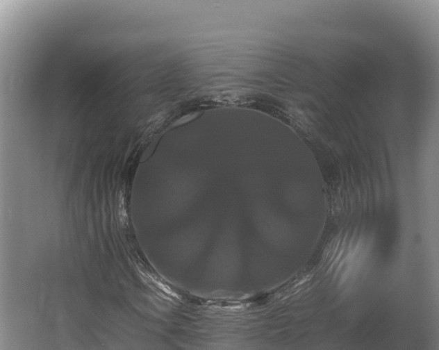 X0000062621106200512230939