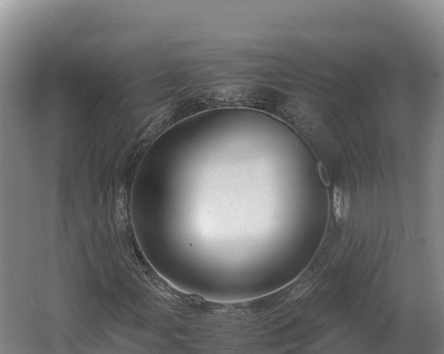 X0000062621107200512230939