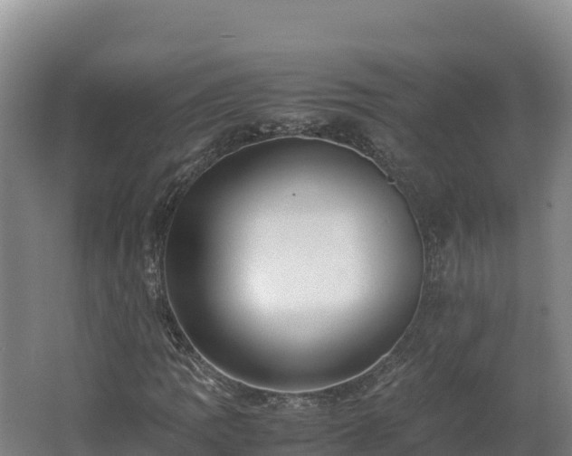 X0000062621109200512230939