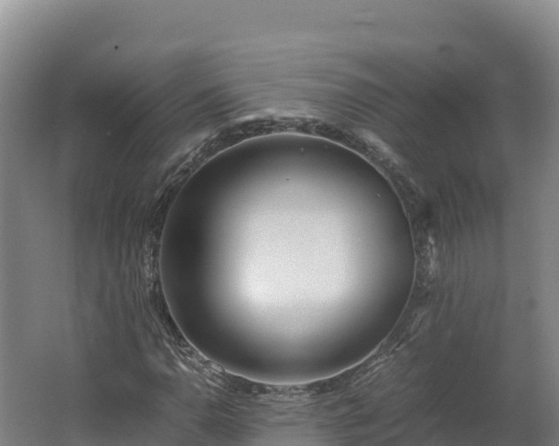 X0000062621110200512230939