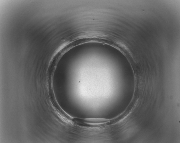 X0000062621114200512230939