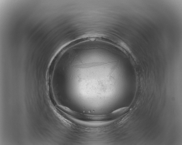 X0000062621124200512230939