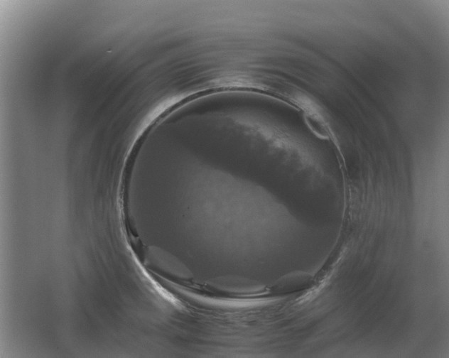 X0000062621141200512230939