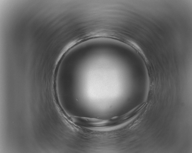 X0000062621146200512230940