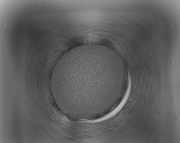 X0000062621153200512230939