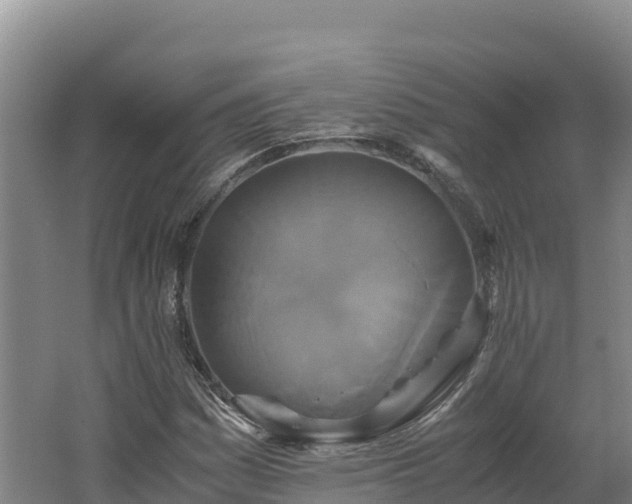 X0000062621161200512230939