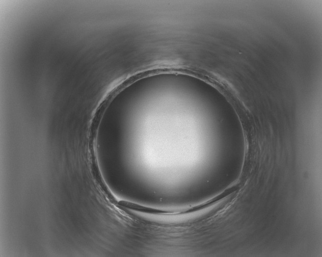 X0000062621168200512230938
