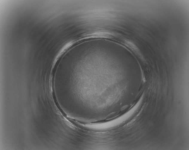 X0000062621180200512230938