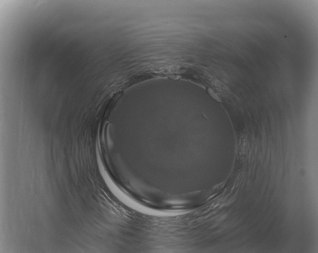 X0000062621202200512230937