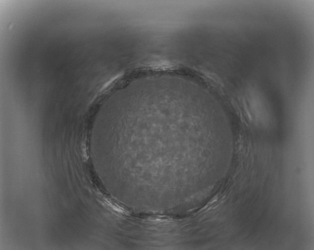 X0000062621205200512230937