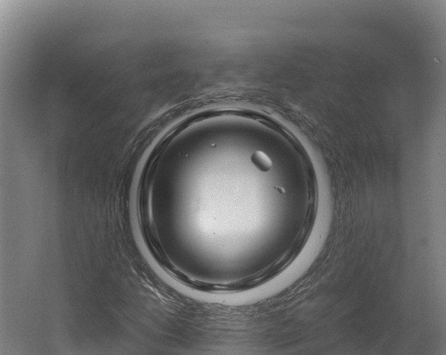 X0000062621206200512230937