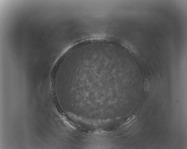 X0000062621208200512230937