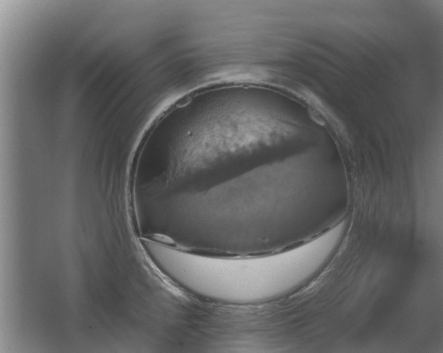 X0000062621240200512230938